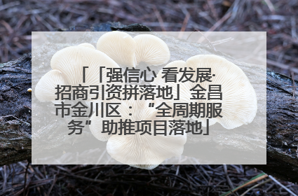 「强信心 看发展·招商引资拼落地」金昌市金川区：“全周期服务”助推项目落地