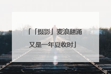 「摄影」麦浪翻涌 又是一年夏收时