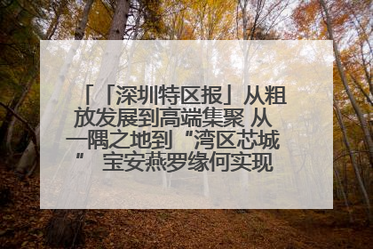 「深圳特区报」从粗放发展到高端集聚 从一隅之地到“湾区芯城” 宝安燕罗缘何实现“战略突围”
