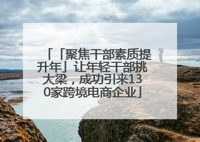 「聚焦干部素质提升年」让年轻干部挑大梁，成功引来130家跨境电商企业