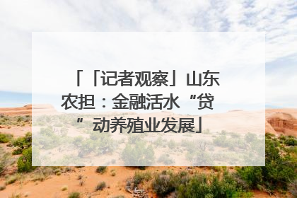 「记者观察」山东农担：金融活水“贷”动养殖业发展