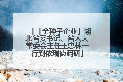 「金种子企业」湖北省委书记、省人大常委会主任王忠林一行到依瑞德调研