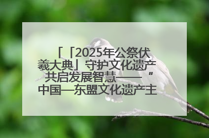 「2025年公祭伏羲大典」守护文化遗产 共启发展智慧——“中国—东盟文化遗产主题对话”侧记