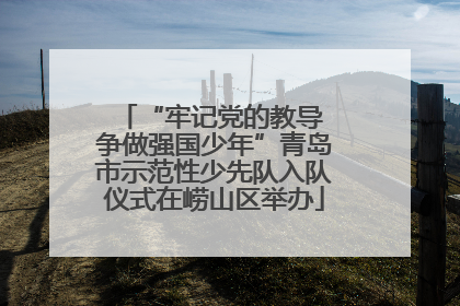 “牢记党的教导 争做强国少年”青岛市示范性少先队入队仪式在崂山区举办