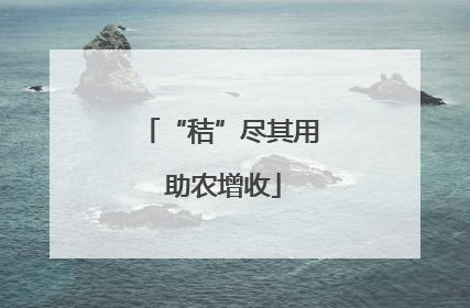 “秸”尽其用 助农增收