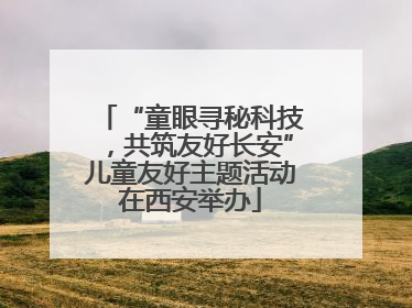“童眼寻秘科技，共筑友好长安”儿童友好主题活动在西安举办