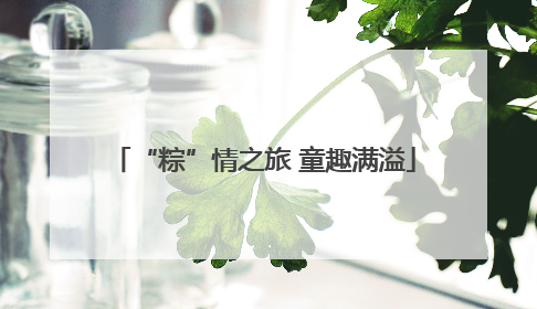 “粽”情之旅 童趣满溢
