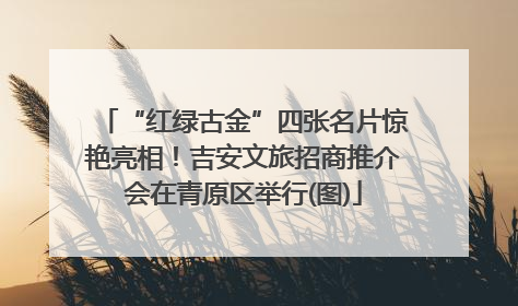 “红绿古金”四张名片惊艳亮相！吉安文旅招商推介会在青原区举行(图)