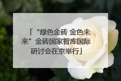 “绿色金砖 金色未来”金砖国家智库国际研讨会在京举行