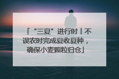 “三夏”进行时丨不误农时完成夏收夏种，确保小麦颗粒归仓
