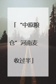 “中原粮仓”河南麦收过半