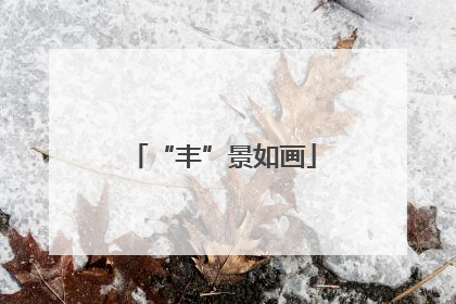 “丰”景如画
