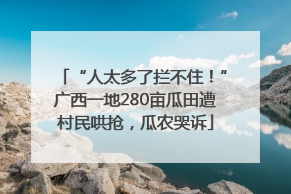 “人太多了拦不住！”广西一地280亩瓜田遭村民哄抢，瓜农哭诉