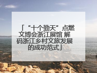 “十个勤天”点燃文博会浙江展馆 解码浙江乡村文旅发展的成功范式