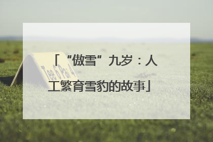 “傲雪”九岁：人工繁育雪豹的故事