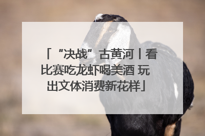 “决战”古黄河丨看比赛吃龙虾喝美酒 玩出文体消费新花样