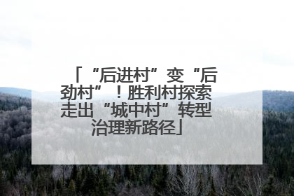 “后进村”变“后劲村”！胜利村探索走出“城中村”转型治理新路径