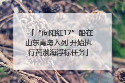 “向阳红17”船在山东青岛入列 开始执行黄渤海浮标任务