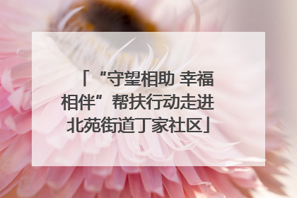 “守望相助 幸福相伴”帮扶行动走进北苑街道丁家社区