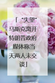 “失望”马斯克离开特朗普政府 媒体称当天两人未交谈