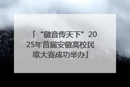 “徽音传天下”2025年首届安徽高校民歌大赛成功举办
