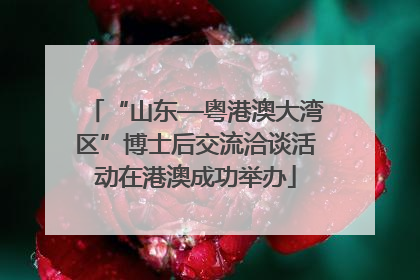 “山东—粤港澳大湾区”博士后交流洽谈活动在港澳成功举办