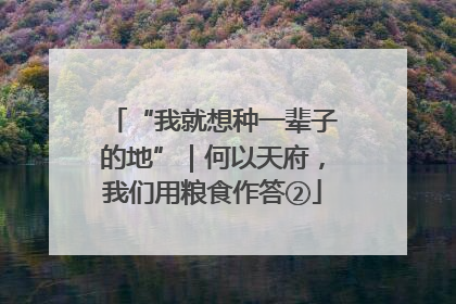 “我就想种一辈子的地”｜何以天府，我们用粮食作答②