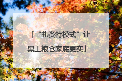“扎赉特模式”让黑土粮仓家底更实