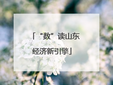 “数”读山东经济新引擎