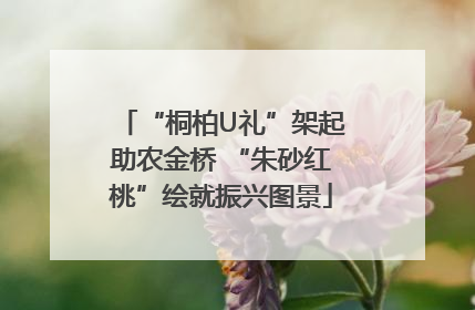 “桐柏U礼”架起助农金桥 “朱砂红桃”绘就振兴图景