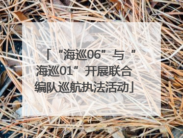 “海巡06”与“海巡01”开展联合编队巡航执法活动