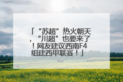 “苏超”热火朝天，“川超”也要来了！网友建议西南F4组建西甲联赛！