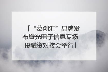 “葛创汇”品牌发布暨光电子信息专场投融资对接会举行