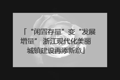 “闲置存量”变“发展增量” 浙江现代化美丽城镇建设再添新意