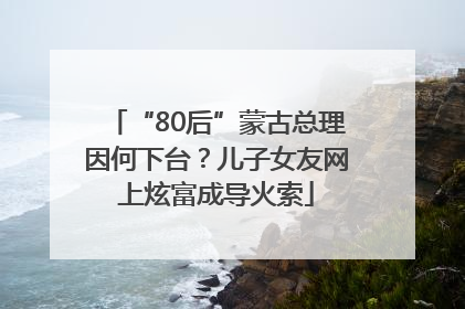 “80后”蒙古总理因何下台？儿子女友网上炫富成导火索