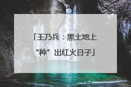 王乃兵：黑土地上“种”出红火日子