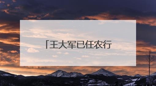 王大军已任农行党委委员，分管对公、科技板块