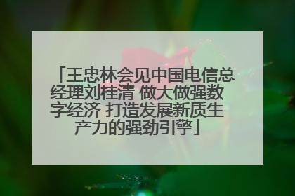王忠林会见中国电信总经理刘桂清 做大做强数字经济 打造发展新质生产力的强劲引擎