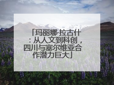 玛丽娜·拉古什：从人文到科创，四川与塞尔维亚合作潜力巨大