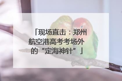 现场直击：郑州航空港高考考场外的“定海神针”
