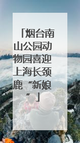 烟台南山公园动物园喜迎上海长颈鹿“新娘”