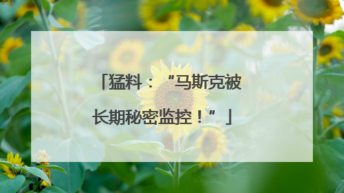 猛料：“马斯克被长期秘密监控！”