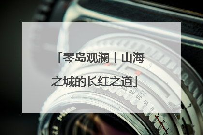 琴岛观澜丨山海之城的长红之道