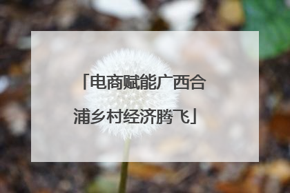 电商赋能广西合浦乡村经济腾飞