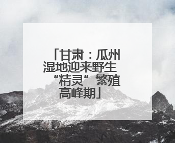 甘肃：瓜州湿地迎来野生“精灵”繁殖高峰期