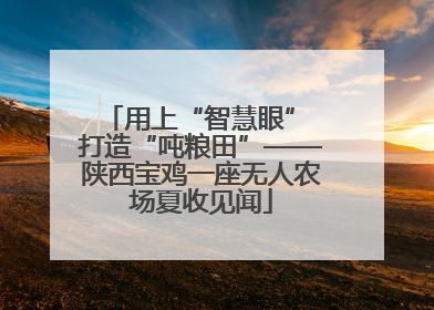 用上“智慧眼” 打造“吨粮田”——陕西宝鸡一座无人农场夏收见闻