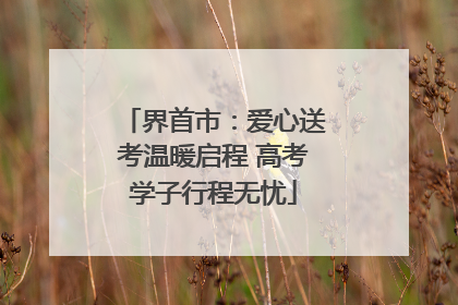 界首市：爱心送考温暖启程 高考学子行程无忧