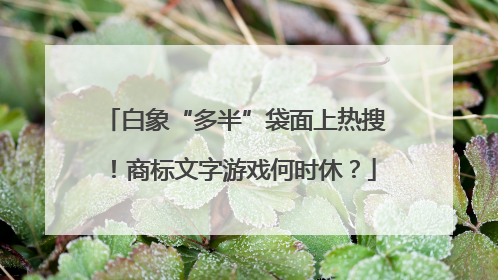 白象“多半”袋面上热搜！商标文字游戏何时休？
