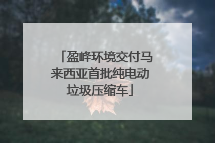 盈峰环境交付马来西亚首批纯电动垃圾压缩车