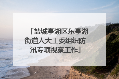 盐城亭湖区东亭湖街道人大工委组织防汛专项视察工作